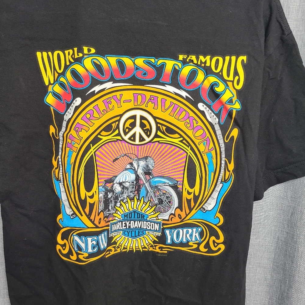 Harley Davidson world famous woodstock New York  t-shirt
